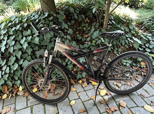 Bellini racing bike road - racing,