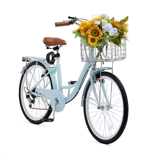 Bicycle inch city bike - inch,