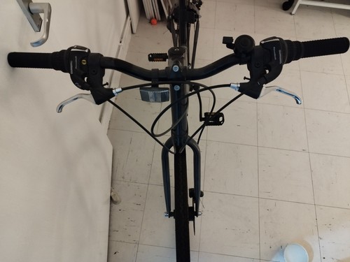 Moorlarge low frame bicycle - low,