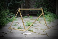 VGC Gazelle Champion Mondial